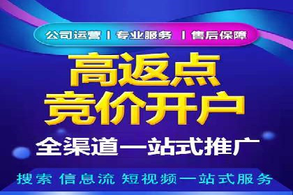 大数据分析在竞价广告中的应用